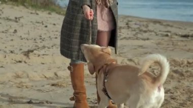 kıvırcık saçlı, anne ve kızı, koş, bir kızla bir ceket genç kadın kahverengi bir köpek sahilde oynamak, kara kara ona sopa, soğuk hava