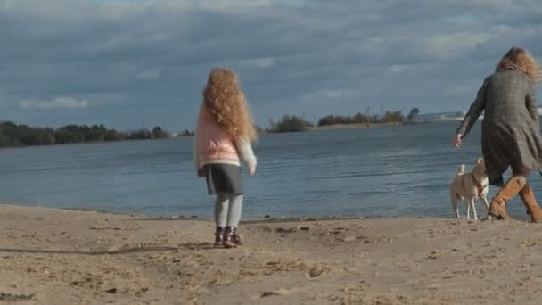 Jonge vrouw met een vacht met een meisje met krullend haar, moeder en dochter, draaien, spelen met een bruine hond op het strand, de hond speelt met een stok, koud weer, close-up — Stockvideo