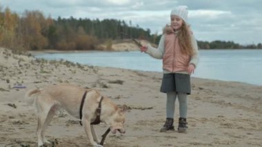 sıcak giysiler, kıvırcık saçlı kız çalışır, sahilde kahverengi bir köpekle oynar, onu bir sopa, soğuk hava atar