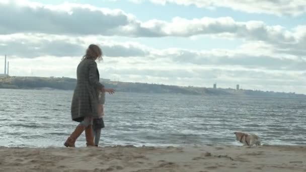 Ung kvinna i en kappa med en tjej med lockigt hår, Mamma och dotter, springa, leka med en brun hund på stranden, hunden drar en pinne ur vattnet, kallt väder — Stockvideo