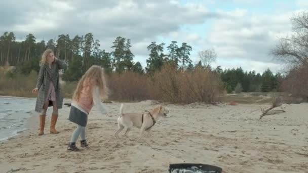 Giovane donna in un cappotto con una ragazza con i capelli ricci, mamma e figlia, correre, giocare con un cane marrone sulla spiaggia, covare il suo bastone, tempo freddo — Video Stock