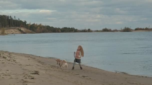 Dziewczyna z kręconymi włosami w ciepłe ubrania, biegają, grając z brązowy pies na plaży, pies, ciągnąc kij z wody, zimnej pogody — Wideo stockowe