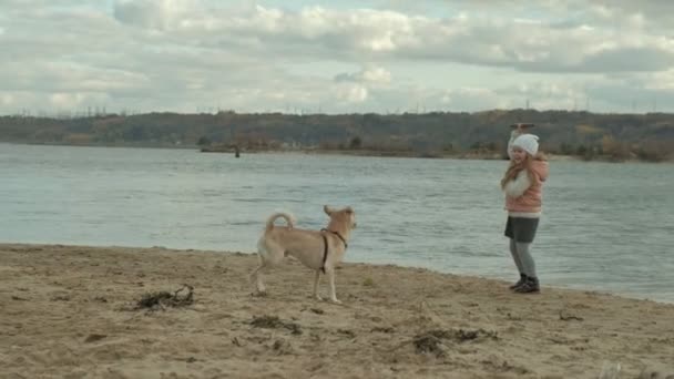 Sıcak giysiler, kıvırcık saçlı kız çalışır, sahilde kahverengi bir köpekle oynar, onu bir sopa, soğuk hava atar — Stok video