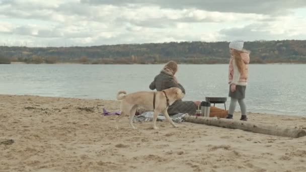 Una mujer joven en un abrigo se sienta en la playa junto al río, el océano, tiene un picnic, vierte té caliente de un termo, al lado de una chica con el pelo rizado juega con un perro marrón, tiempo frío — Vídeos de Stock