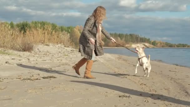 Jeune femme dans un manteau avec une fille aux cheveux bouclés, maman et fille, courir, jouer avec un chien brun sur la plage, couver son bâton, temps froid — Video