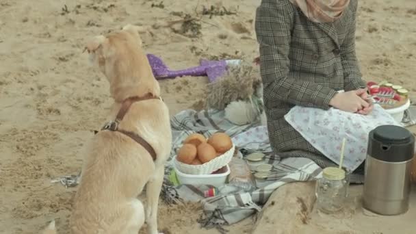 En ung kvinna i jacka ligger på stranden av floden, ocean, har picknick, kockar grönsaker och kött på grillen, en hund spelar i närheten, kallt väder — Stockvideo