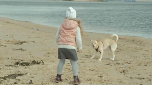 Chica con el pelo rizado en ropa de abrigo, corre, juega con un perro marrón en la playa, la alimenta, el perro atrapa una golosina, clima frío — Vídeo de stock