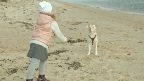 Chica con el pelo rizado en ropa de abrigo, corre, juega con un perro marrón en la playa, la alimenta, el perro atrapa una golosina, clima frío — Vídeo de stock