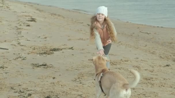 Tjej med lockigt hår i varma kläder, körningar, leker med en brun hund på stranden, matar henne, hunden fångster en behandla, kallt väder — Stockvideo