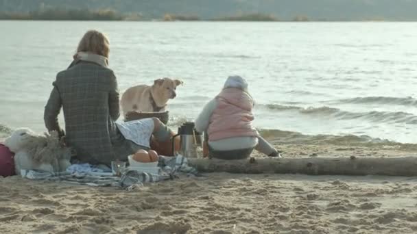 Молода жінка в пальто і дівчина з кучерявим волоссям, мати з дочкою, сидіти на пляжі біля річки, океан, мати пікнік, готувати м'ясо на грилі, дівчина годує собаку, холодна погода, вид ззаду — стокове відео