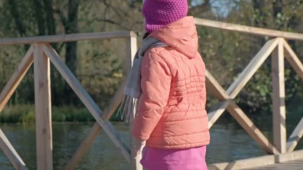 Een jonge vrouw en een klein meisje in warme kleren, moeder en dochter, had een picknick aan de rivieroever op een houten brug, het bereiden van voedsel, het meisje voedt de hond, weekends, koud weer, buiten — Stockvideo