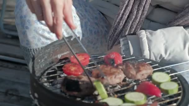 Jovem mulher em roupas quentes, prepara legumes e carne na grelha, um cão caminha nas proximidades, um piquenique na margem do rio em uma ponte de madeira, um fim de semana, tempo frio, recreação ao ar livre, turismo, close — Vídeo de Stock