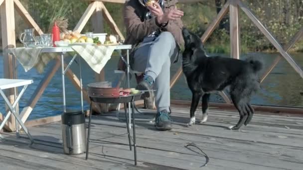 Ώριμος άνδρας με ζεστά ρούχα, κάθεται στο τραπέζι, τρώγοντας ένα μπέργκερ, κοντά σε ένα πεινασμένο σκύλο, έχοντας ένα πικ-νικ στην όχθη του ποταμού σε μια ξύλινη γέφυρα, Σαββατοκύριακο, κρύο, κάμπινγκ, τουρισμός — Αρχείο Βίντεο