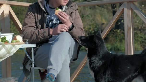 Zralý muž v teplé oblečení, sedící u stolu, jíst hamburger, poblíž hladový pes, s piknik na břehu řeky na dřevěný most, víkend, chladné počasí, camping, Turistika — Stock video