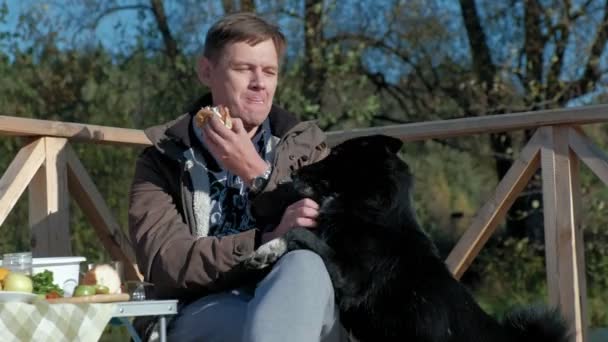 Homem maduro em roupas quentes, sentado à mesa, comendo um hambúrguer, perto de um cão faminto, fazendo um piquenique na margem do rio em uma ponte de madeira, fim de semana, tempo frio, camping, turismo — Vídeo de Stock