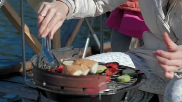 Young woman in warm clothes, preparing vegetables and meat on the grill, preparing a burger, a dog playing nearby, a picnic on the river bank on a wooden bridge, a weekend, cold weather, outdoor — Stock Video