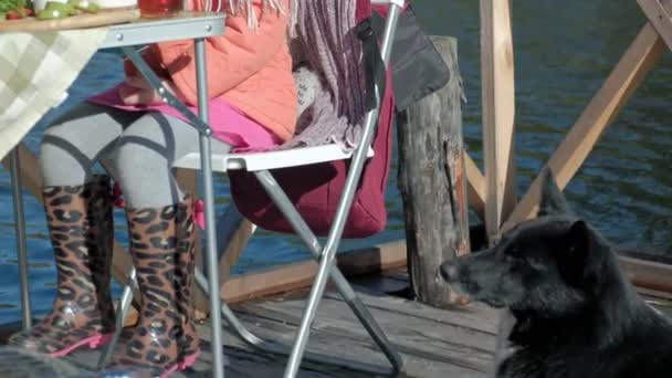 Uma menina em roupas quentes, comer panquecas, beber chá, um cão brincando nas proximidades, um piquenique junto ao rio em uma ponte de madeira, um fim de semana, tempo frio, camping, turismo — Vídeo de Stock