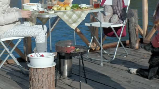 Young woman in sunglasses, in warm clothes, sitting at a table, drinking tea, eating pancakes with jam, feeding a dog, picnic by the river on a wooden bridge, weekend, cold weather, camping, tourism — 图库视频影像