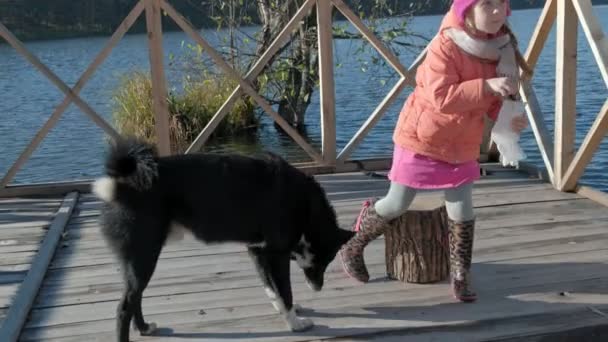 Kleines Mädchen, Tochter, in warmer Kleidung, mit Hund spielen, füttern, Picknick am Flussufer auf einer Holzbrücke, Wochenende, kaltes Wetter, Zelten, Tourismus — Stockvideo