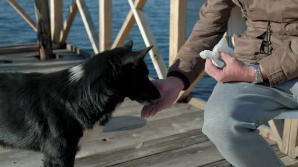 Mogen man i varma kläder, matar hunden med händerna, stryker henne, picknick på flodstranden på en träbro, helg, kallt väder, friluftsliv, turism — Stockvideo