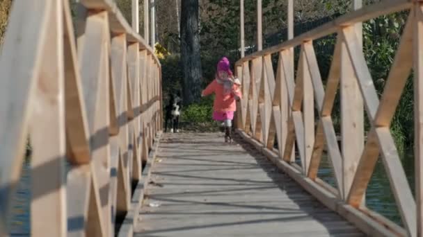 Menina, filha, em roupas quentes, brincando com um cão, alimentando-a, piquenique na margem do rio em uma ponte de madeira, fim de semana, tempo frio, camping, turismo — Vídeo de Stock