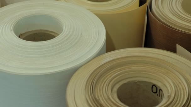 Magazijn met fineer rolls.production van binnendeuren van hout — Stockvideo