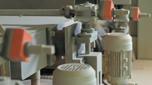 Schleifmaschine. Der Prozess des Schleifens von Holztüren auf der Maschine. Produktion von Innentüren aus Holz — Stockvideo