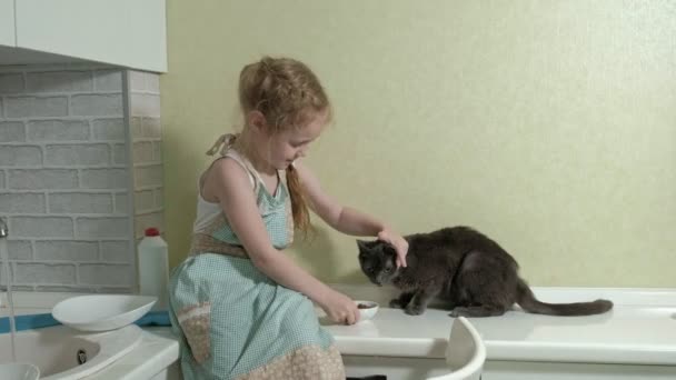 Beautiful little girl in an apron in the bright kitchen, sits on the countertop and feeds the cat, helps parents — Stock Video