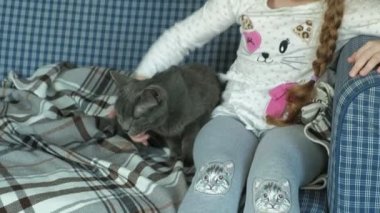 küçük kız bir gri kedi kanepede okşayarak