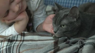 küçük kız bir gri kedi kanepede okşayarak