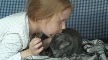 küçük kız bir gri kedi kanepede 4 k okşayarak
