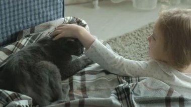 küçük kız bir gri kedi kanepede okşayarak