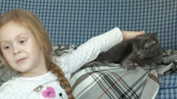 Küçük kız bir gri kedi kanepede okşayarak — Stok video