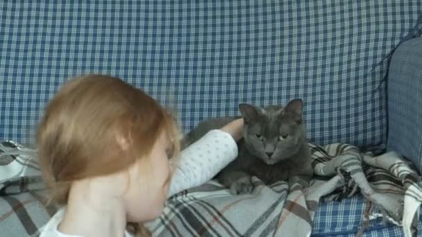 Kleines Mädchen streichelt eine graue Katze auf der Couch — Stockvideo