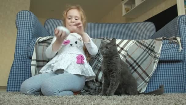 Happy little girl feeds a gray cat sausage in the room — Stock Video