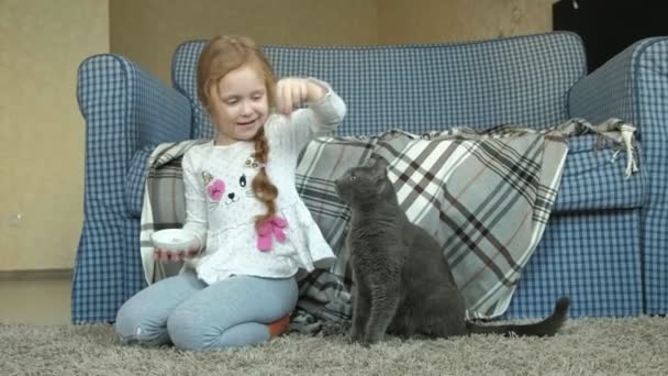 Ευτυχισμένη κοριτσάκι τροφοδοτεί μια γκρίζα γάτα λουκάνικο στο δωμάτιο — Αρχείο Βίντεο