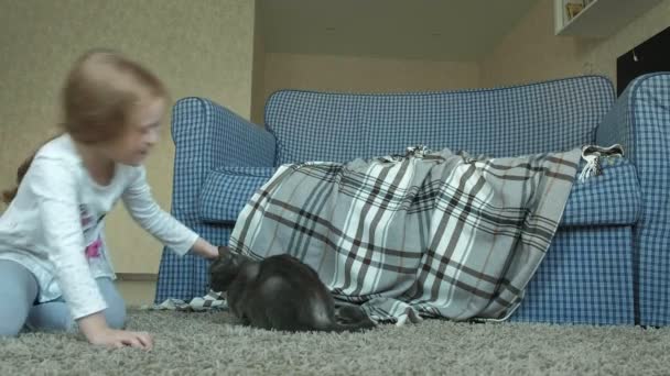 Una niña salta en un sofá en una habitación, un gato gris se sienta al lado — Vídeos de Stock