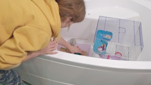 Молодая женщина ухаживает за домашним животным, моет и чистит клетку в ванной, убирает грязные опилки, грызунов, крыс — стоковое видео