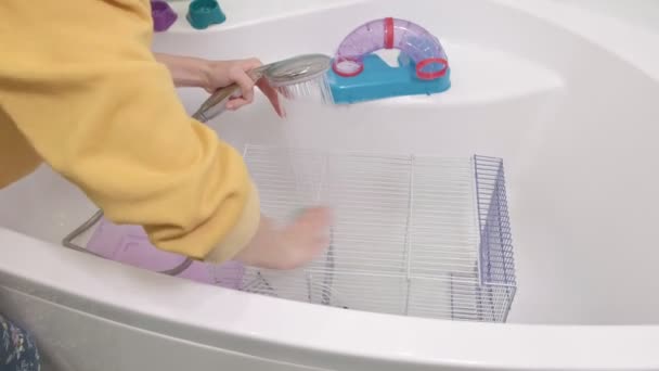Eine junge Frau kümmert sich um ein Haustier, wäscht sich unter einem Wasserhahn mit Wasser und säubert den Käfig im Badezimmer, ein Nagetier, eine Ratte läuft neben ihr her — Stockvideo