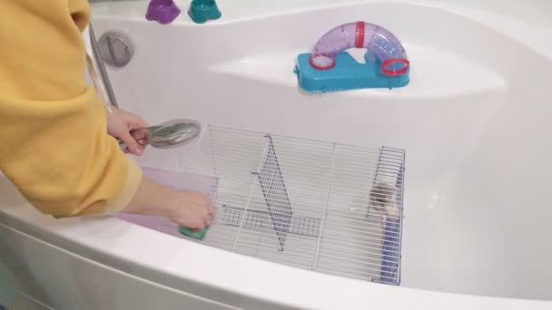Een jonge vrouw zorgt voor een huisdier, wast onder een kraan met water en reinigt de kooi in de badkamer, een knaagdier, een rat loopt langs — Stockvideo