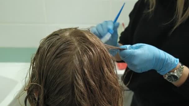 Femme coiffeuse coloriste à la maison dans la salle de bain met de la peinture sur les cheveux d'une jeune femme, applique de la peinture avec un pinceau sur les cheveux, la beauté, la mode — Video