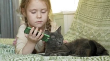 gri kedi okşayarak mutlu kızla sarı saçları ve telefon kullanarak kanepede oturan pigtails