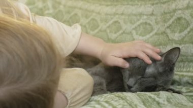 mutlu kız çocuğu sarı saçları ve pigtails bir gri kedi konturlama kanepede yatan ile