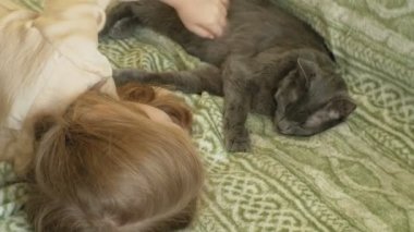 mutlu kız çocuğu sarı saçları ve pigtails bir gri kedi konturlama kanepede yatan ile