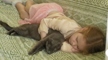mutlu kız çocuğu sarı saçları ve pigtails bir gri kedi konturlama kanepede yatan ile