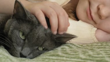 mutlu kız çocuğu sarı saçları ve pigtails bir gri kedi konturlama kanepede yatan ile