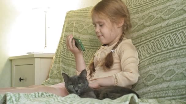 Chica feliz con el pelo rubio y coletas sentado en el sofá usando el teléfono, acariciando el gato gris — Vídeos de Stock