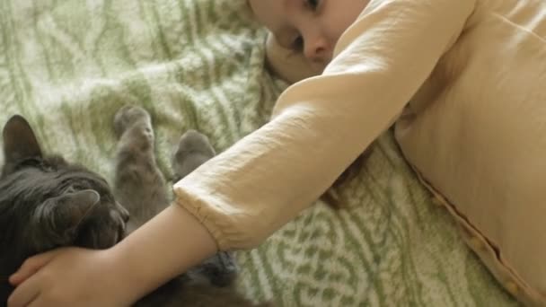 Счастливая девочка с светлыми волосами и косичками, лежащая на диване и гладящая серого кота — стоковое видео