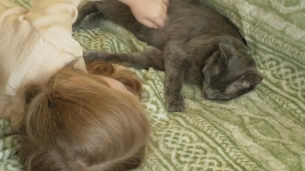 Niña feliz niño con el pelo rubio y coletas acostado en el sofá acariciando a un gato gris — Vídeo de stock