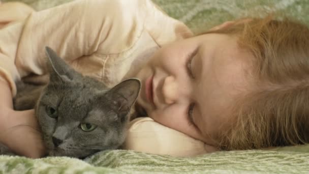 Gelukkig meisje kind met blond haar en pigtails liggend op de Bank een grijze kat aaien — Stockvideo